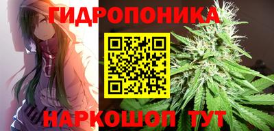 соль ск Кингисепп
