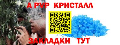 соль ск Кингисепп