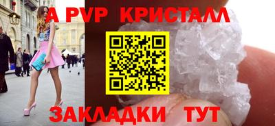 соль ск Кингисепп