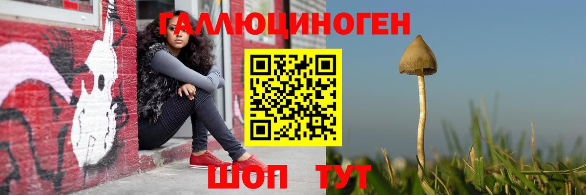 где продают   Вход с VPN  Красноармейск  Псилоцибиновые грибы прущие грибы 